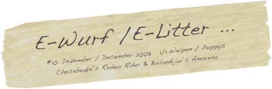 E-Wurf /E-Litter ... 
*10. Dezember / December 2008   1/1 Welpen / Puppys
Chesabeake´s Rodeo Rider & Bailandijiu´s Amarena