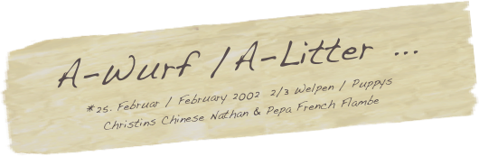 A-Wurf /A-Litter ... 
*25. Februar / February 2002  2/3 Welpen / Puppys
Christins Chinese Nathan & Pepa French Flambe